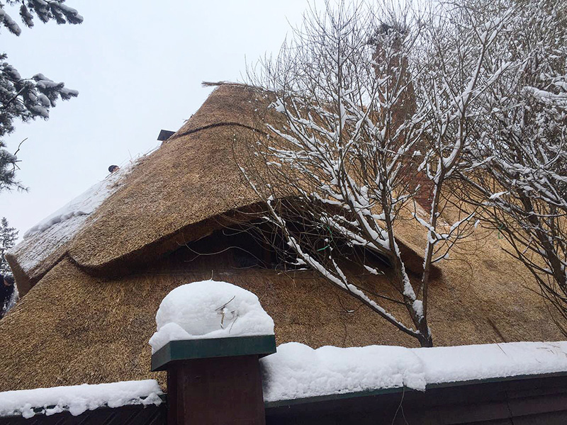 Можно ли укладывать камышовую крышу зимой?